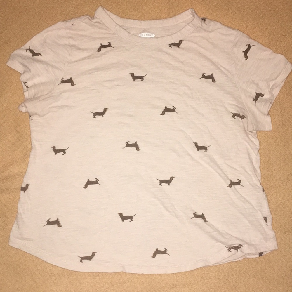 Dachshund T